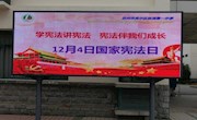 法制教育进校园 知法懂法护平安——临湖一中2020年国家宪法日主题教育活动