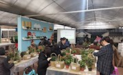 赏花海庆佳节 学组花美生活——临湖一中庆“三八”妇女节活动