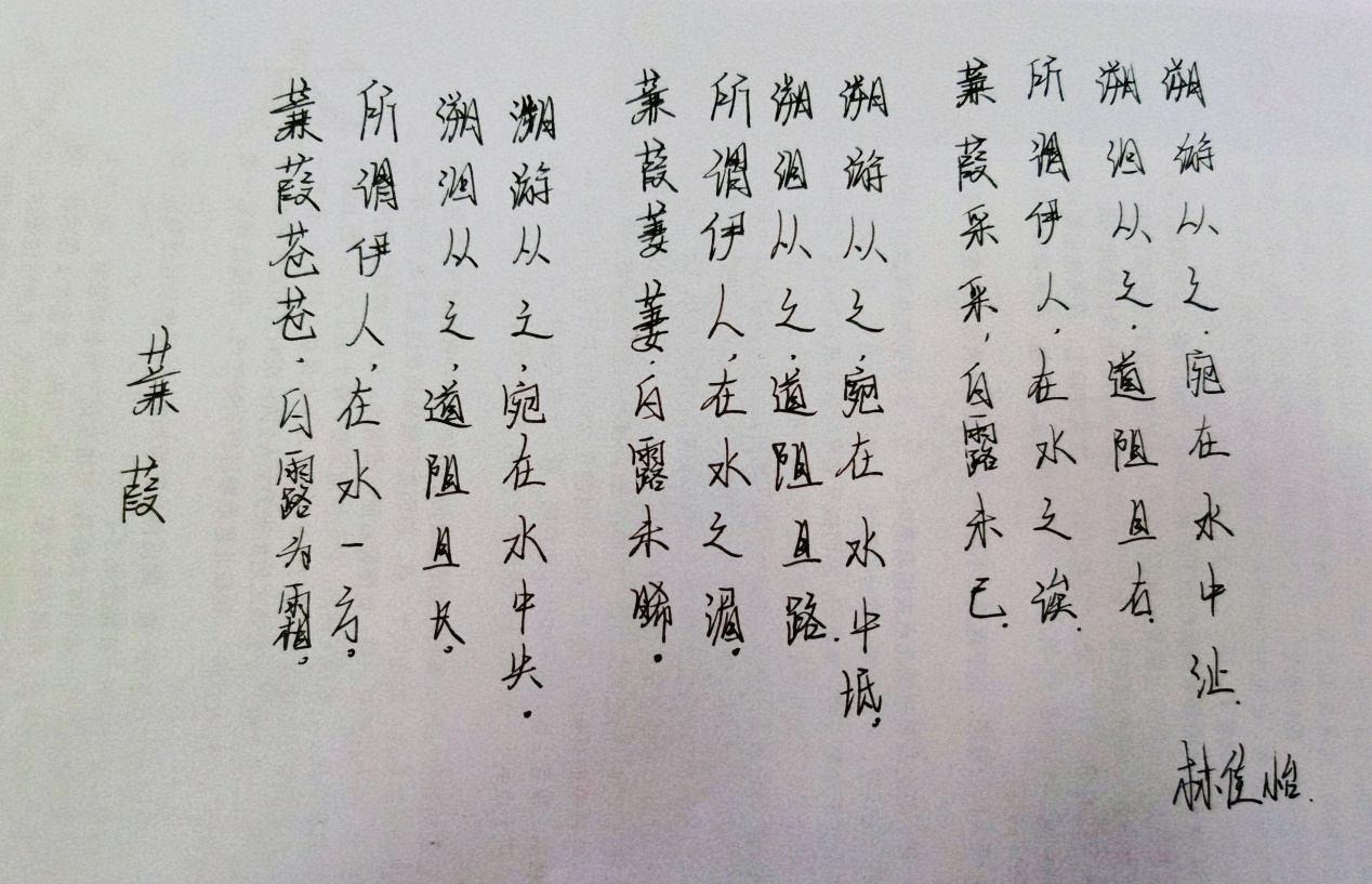 01014dcc9aa84550996b8d64c8a9457b.jpg